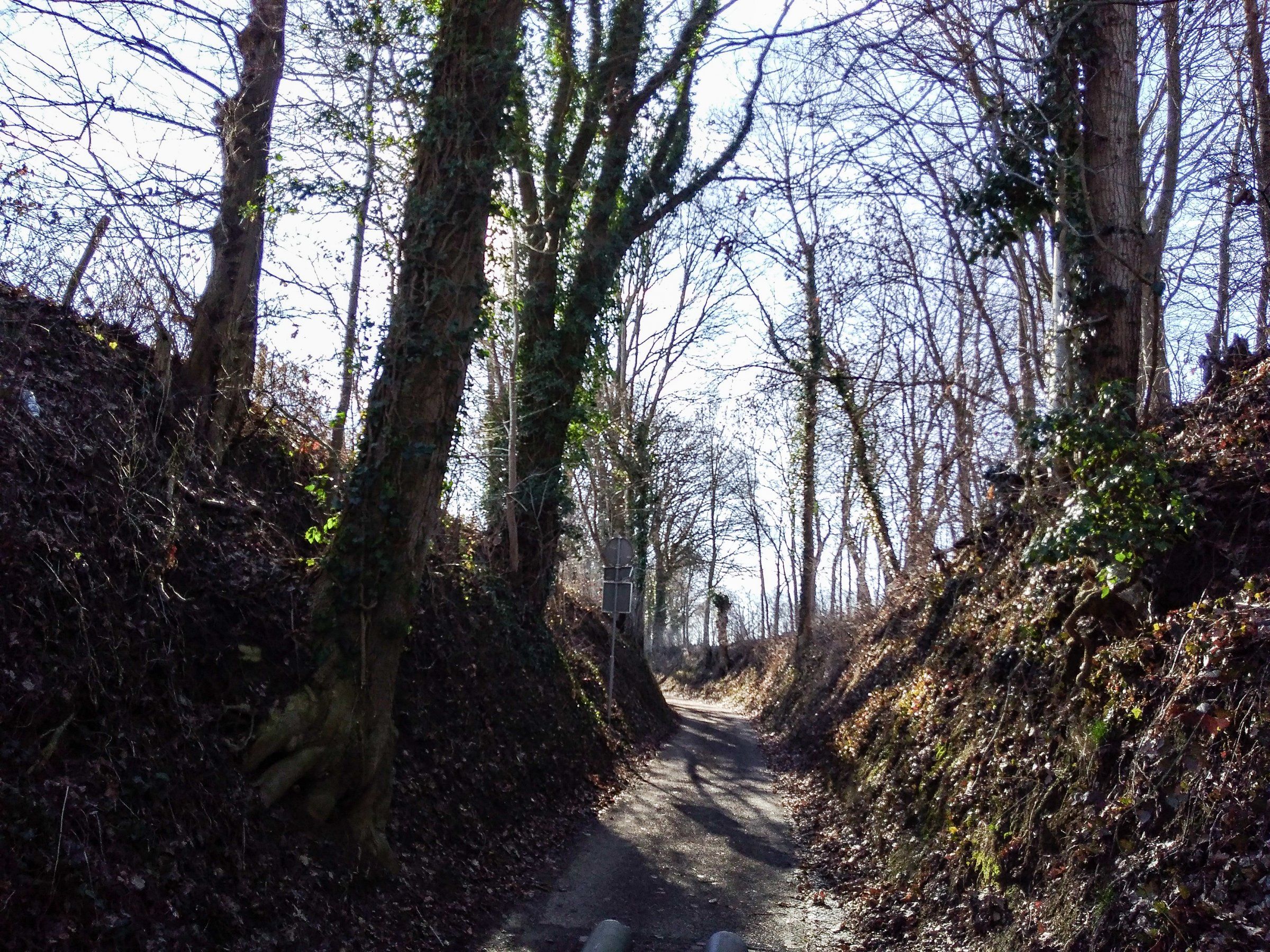 Merkelbeekerweg Jabeek - Kopie.jpg