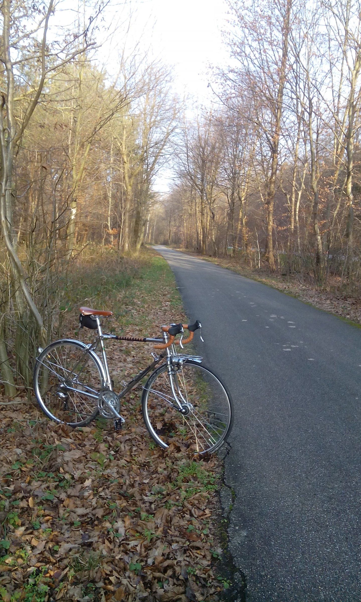 Mittendorf unterwegs 1.jpg