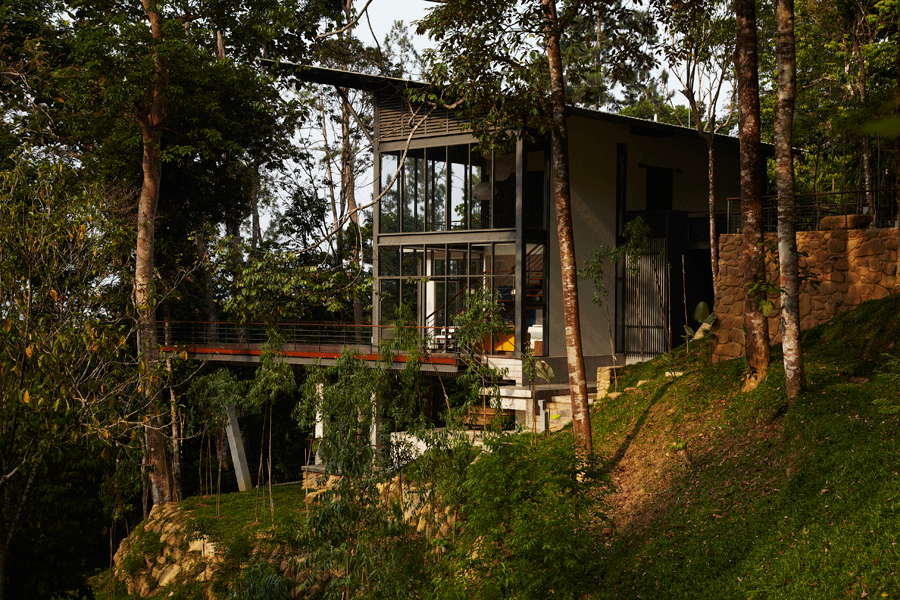 Modern living room in a rainforest, Malaysia.gif