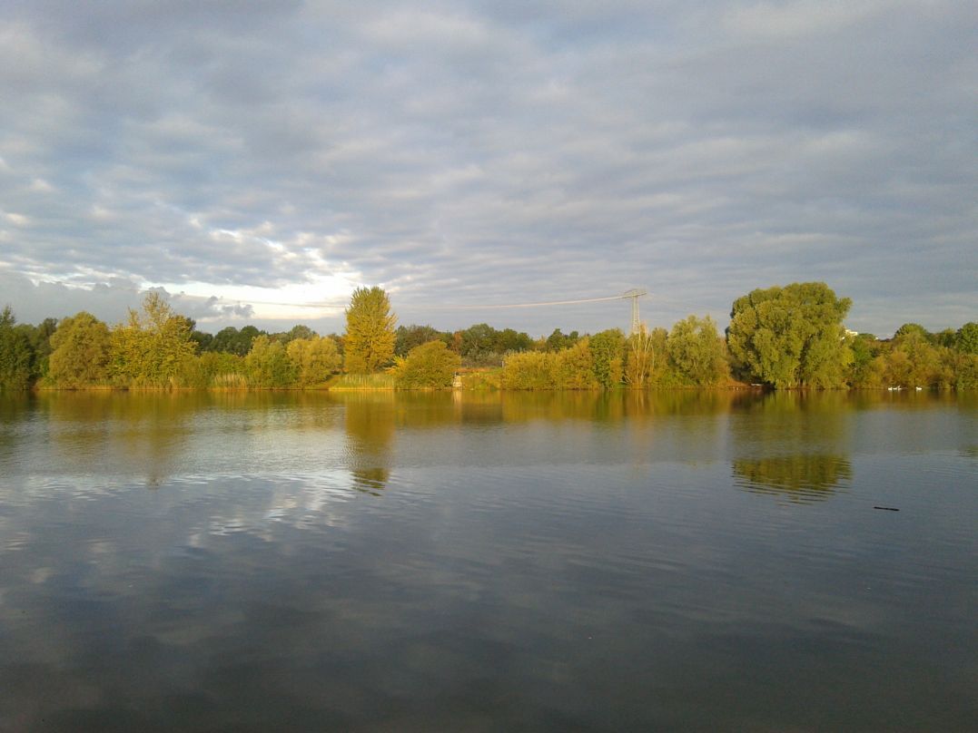 Morgen am See.jpg