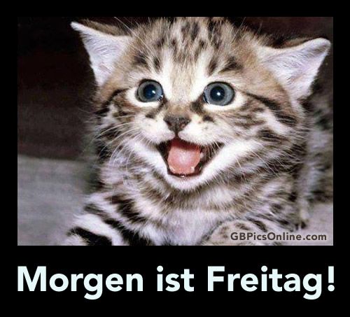 morgen-ist-freitag_005.jpg