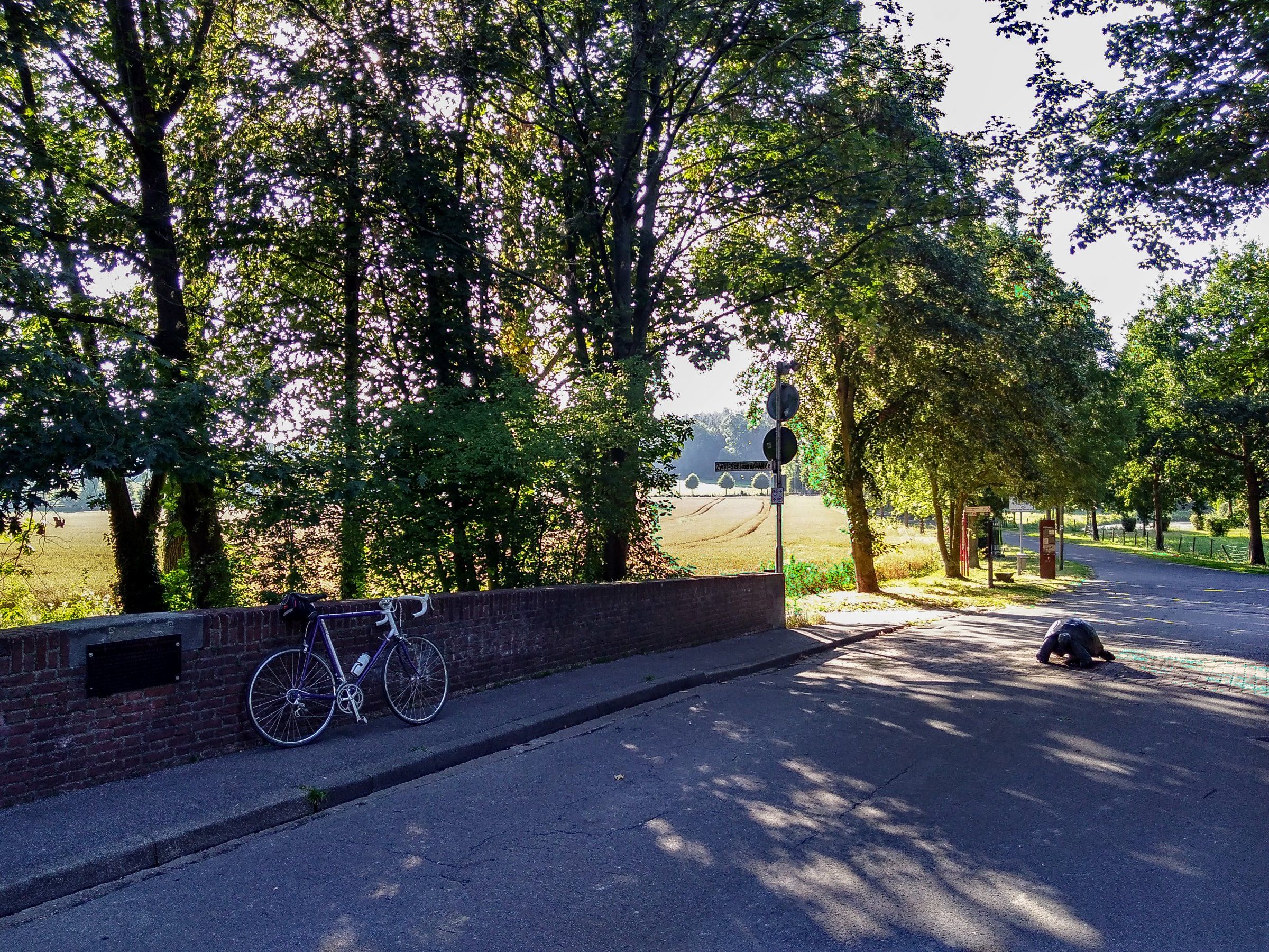 Morgenlich auf der Rimburger Brücke - Kopie.jpg