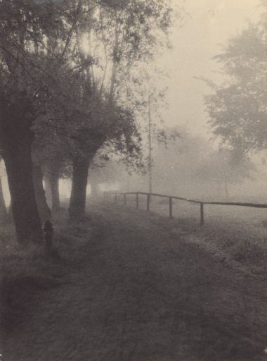 Morgennebel am Seeweg, Kreuzlingen 1930.jpg