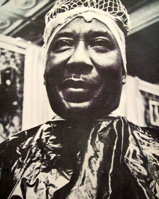 Muddy Waters.jpg