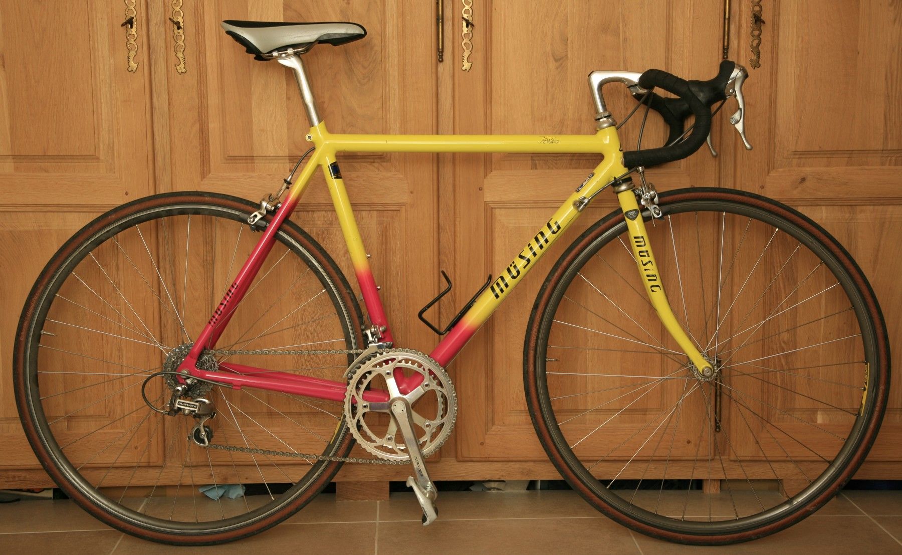 Muesing_Izalco_mit_Dura_Ace.jpg