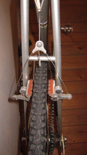 Muller_Schwalbe_CXPro-9131.JPG