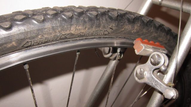 Muller_Schwalbe_CXPro-9134.JPG