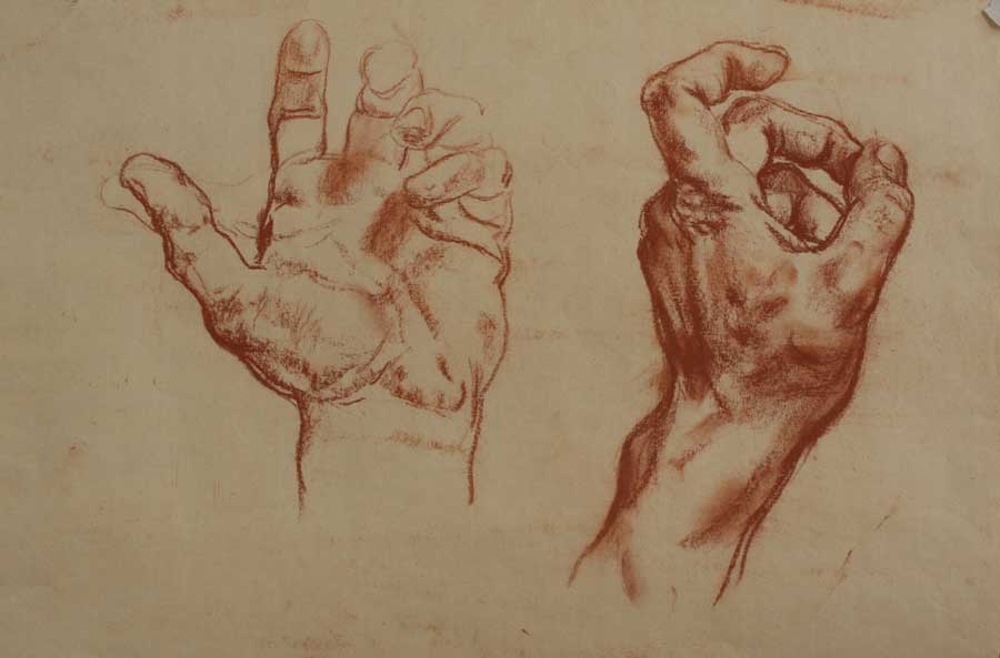 nabrosky hand study (1).jpg