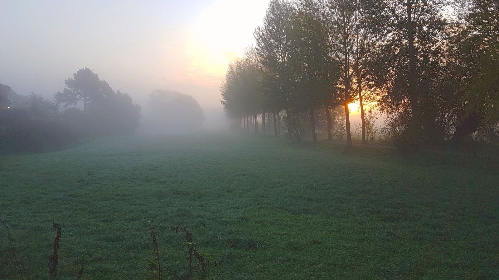 nebel.jpg