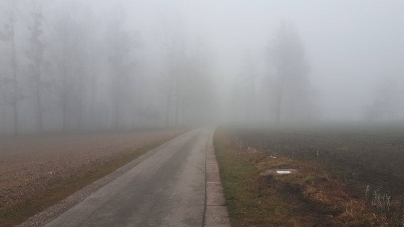 nebel05.jpg