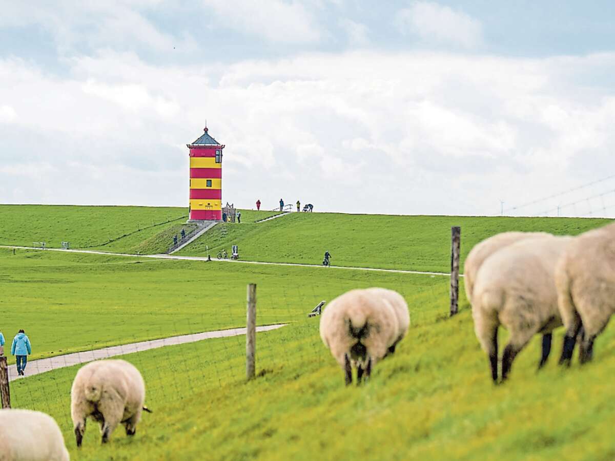 nicht-nur-ein-postkartenmotiv-schafe-als-deichpfleger-bei-pilsum-.jpg