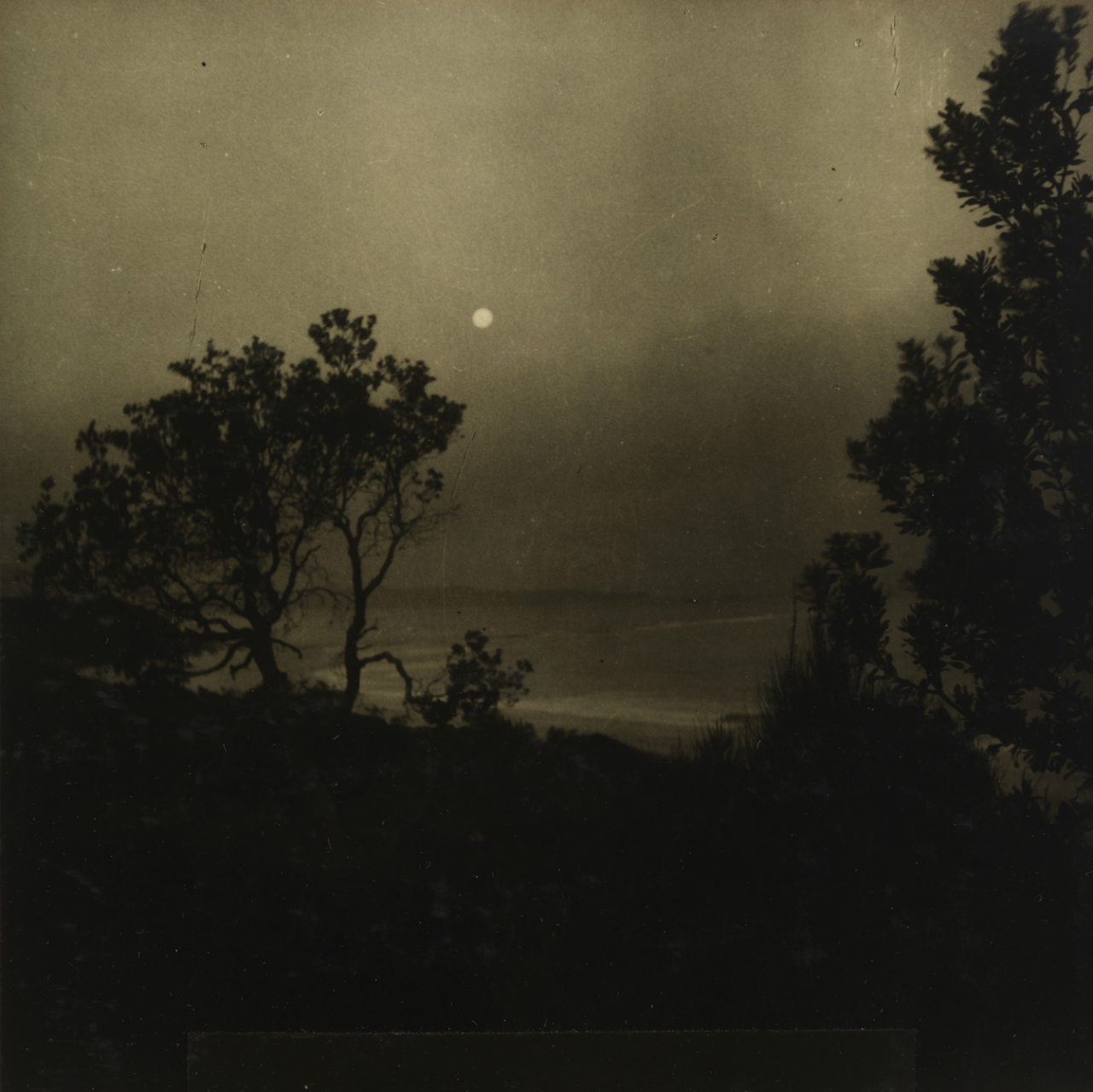 Night Scene - Max Dupain 1937.png