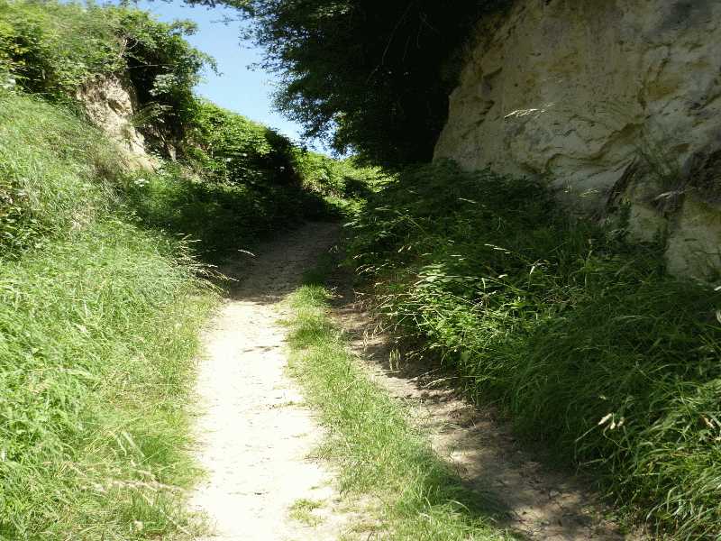 nochnenHohlweg.JPG