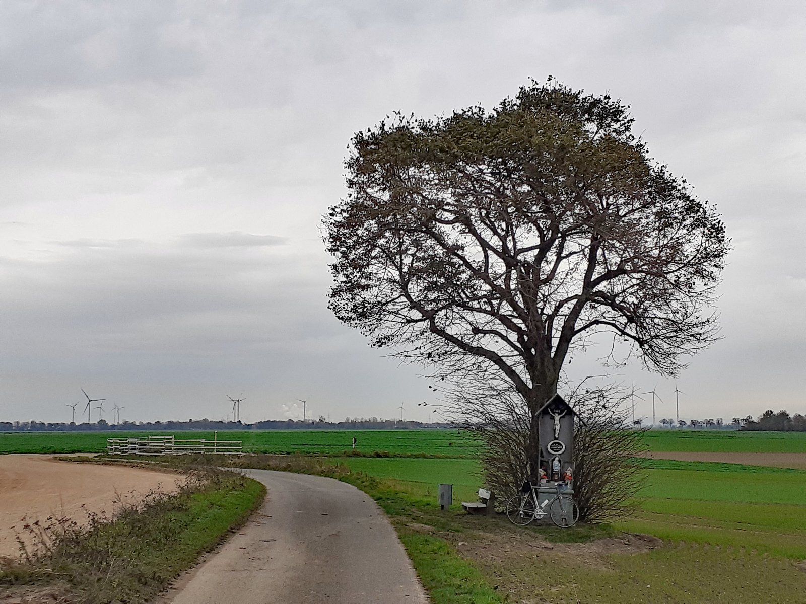 November am Feldkreuz.jpg