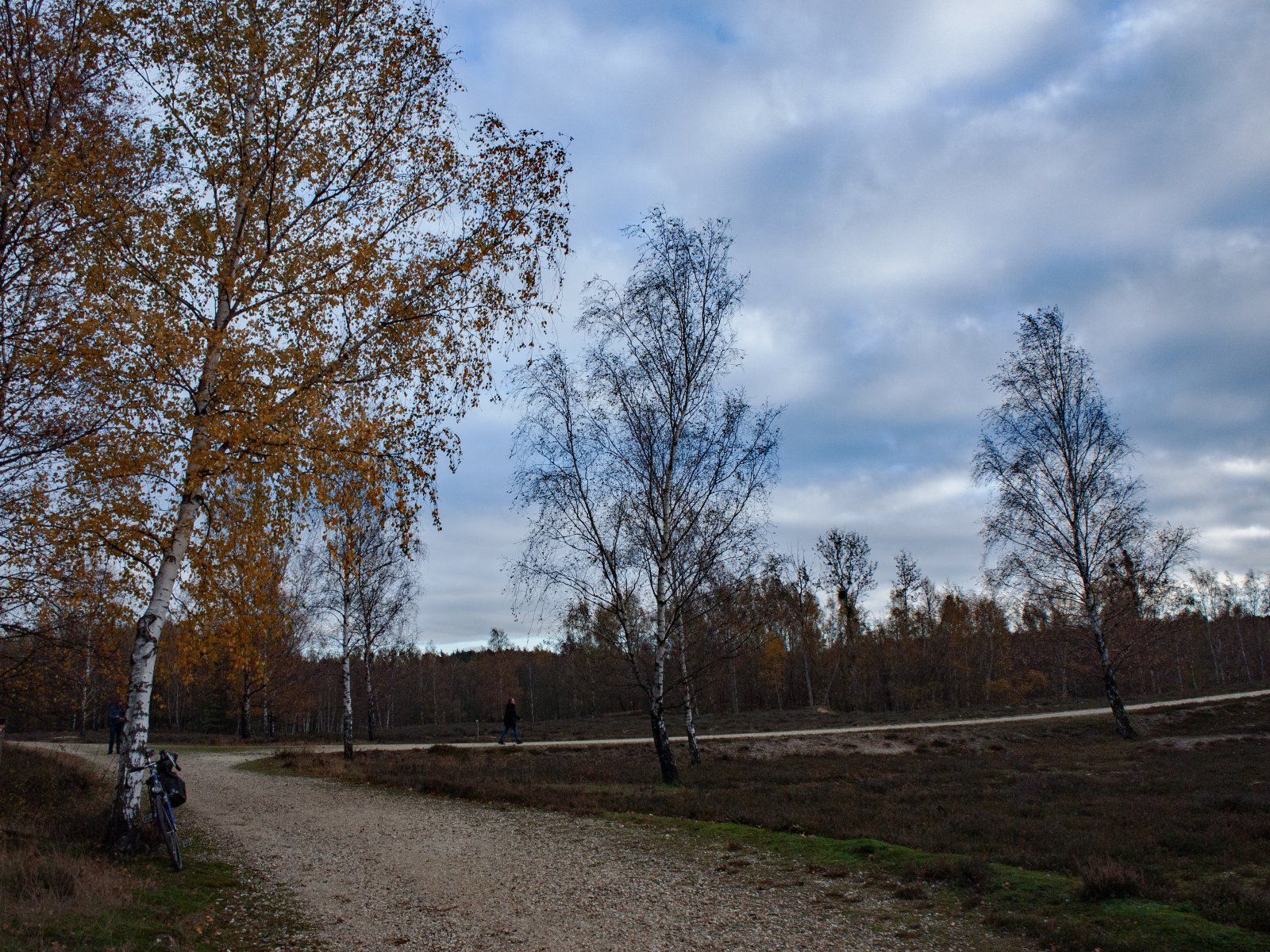 November in der Heide.jpg