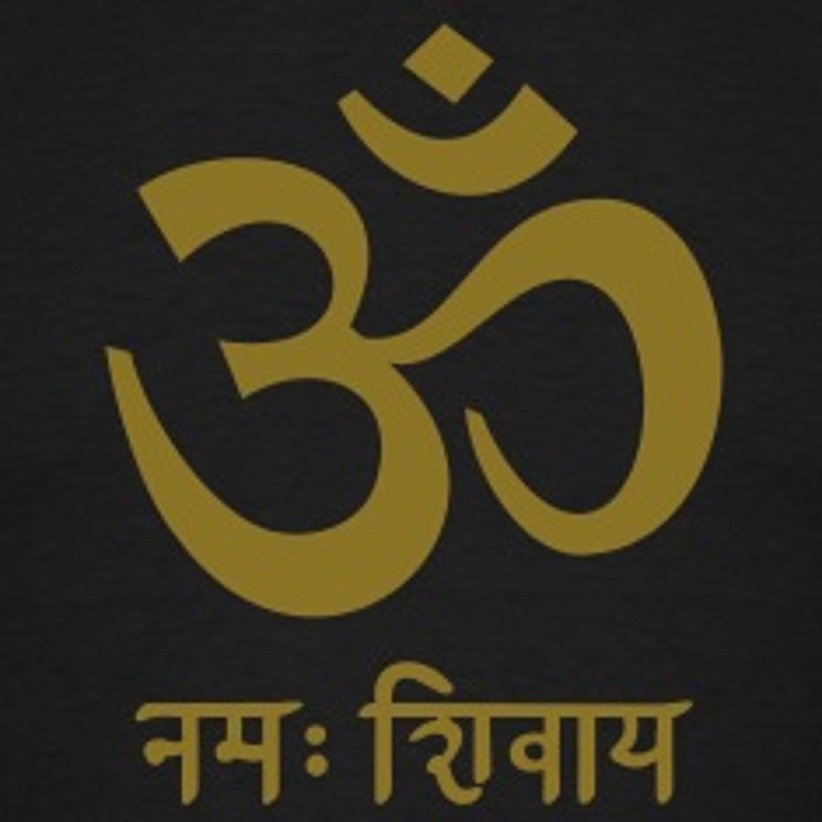 OM-Namah-Shivaya.jpg