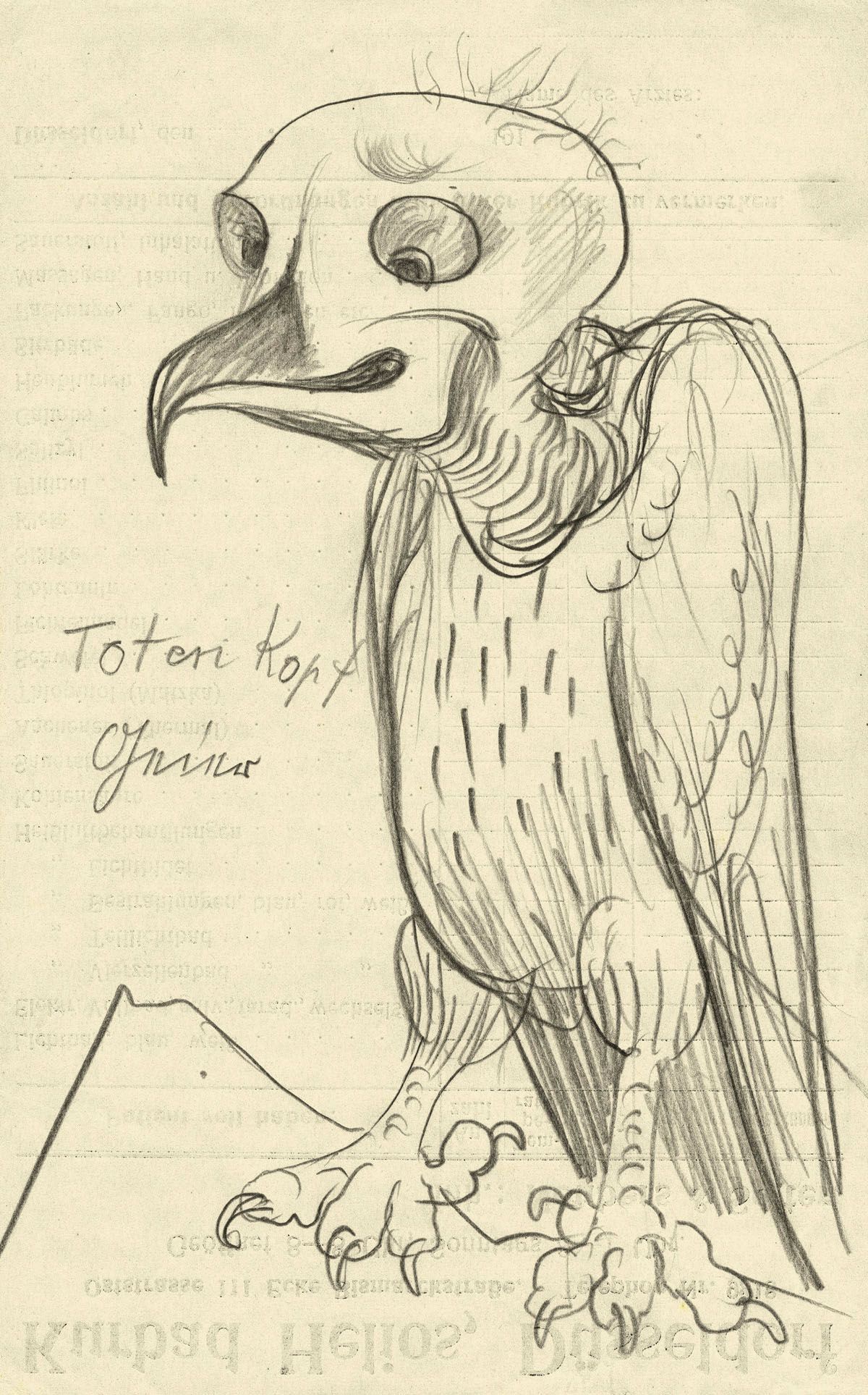 Otto Dix - Vulture Skull (Totenkopfgeier) (1922).jpg