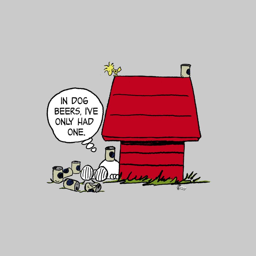 Peantuts snoopy.jpg