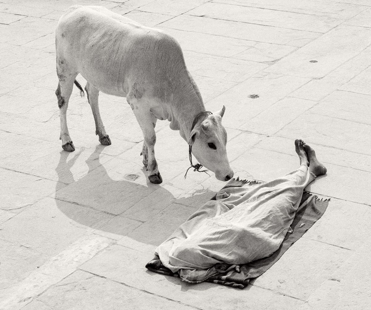 Pentti Sammallahti - Varanasi, India (1999).jpg