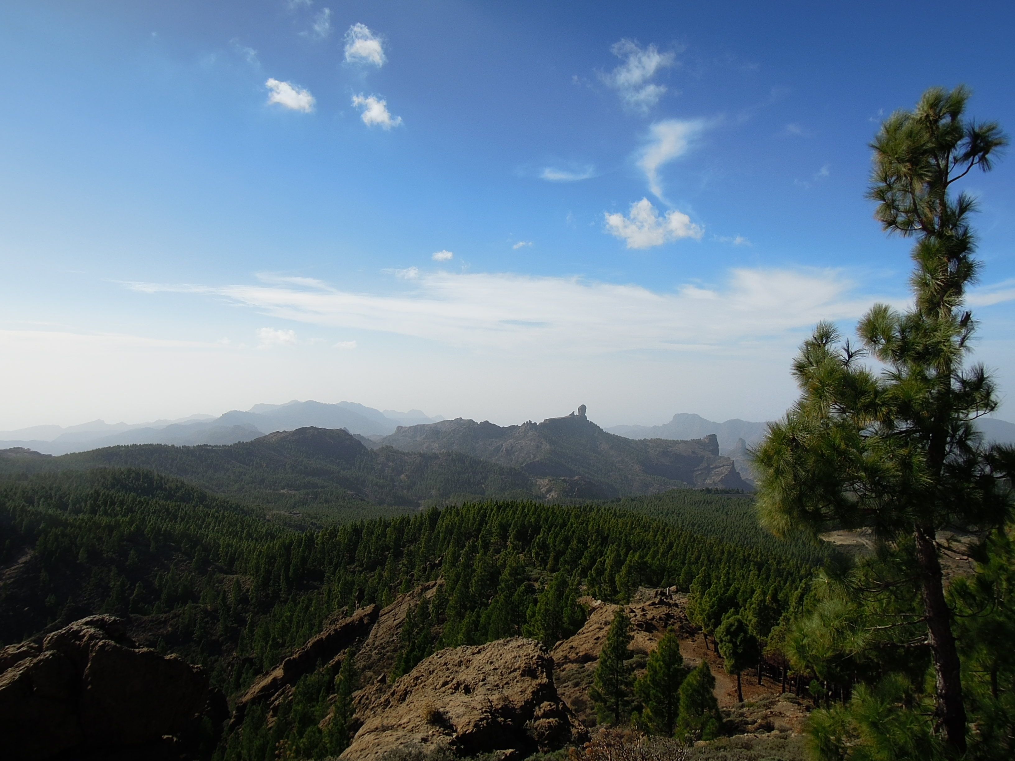 pico - blick nach westen (roque nublo).JPG