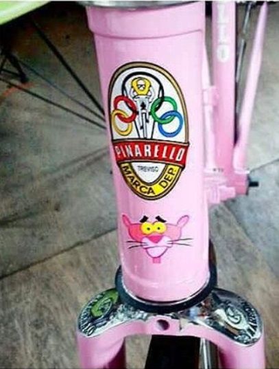 Pinarello Pink panther head tube.jpg