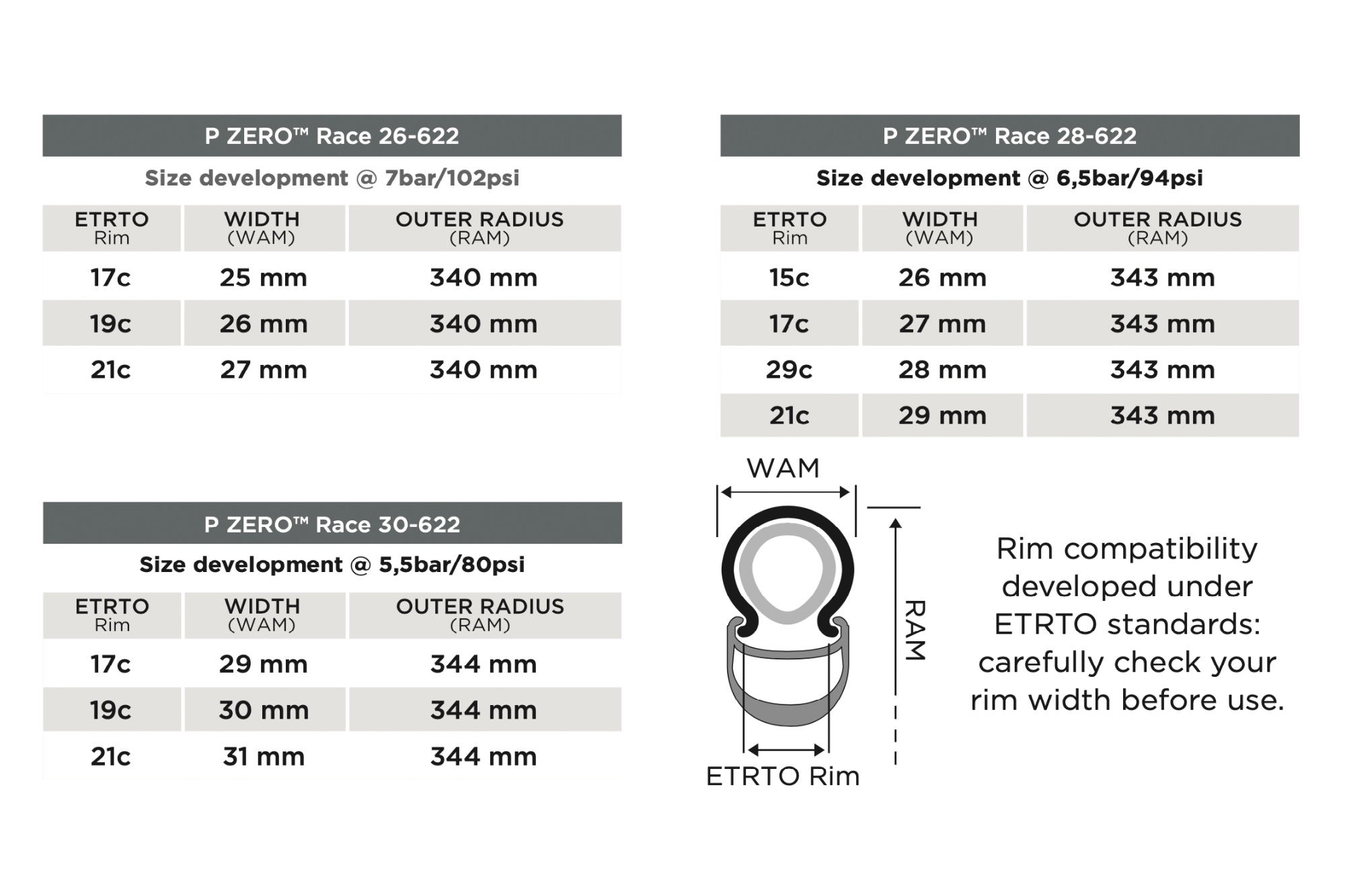 Pirelli-P-Zero-Race_size-guide-81fb46f.jpg