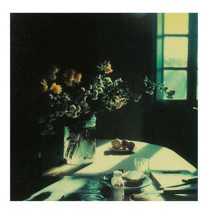 Polaroids by Andrei Tarkovsky 1970s (1).jpg