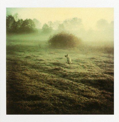 Polaroids by Andrei Tarkovsky 1970s (3).jpg