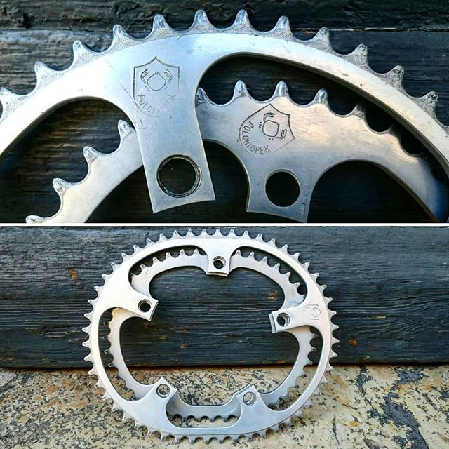 polchlopek oval chainrings.jpg