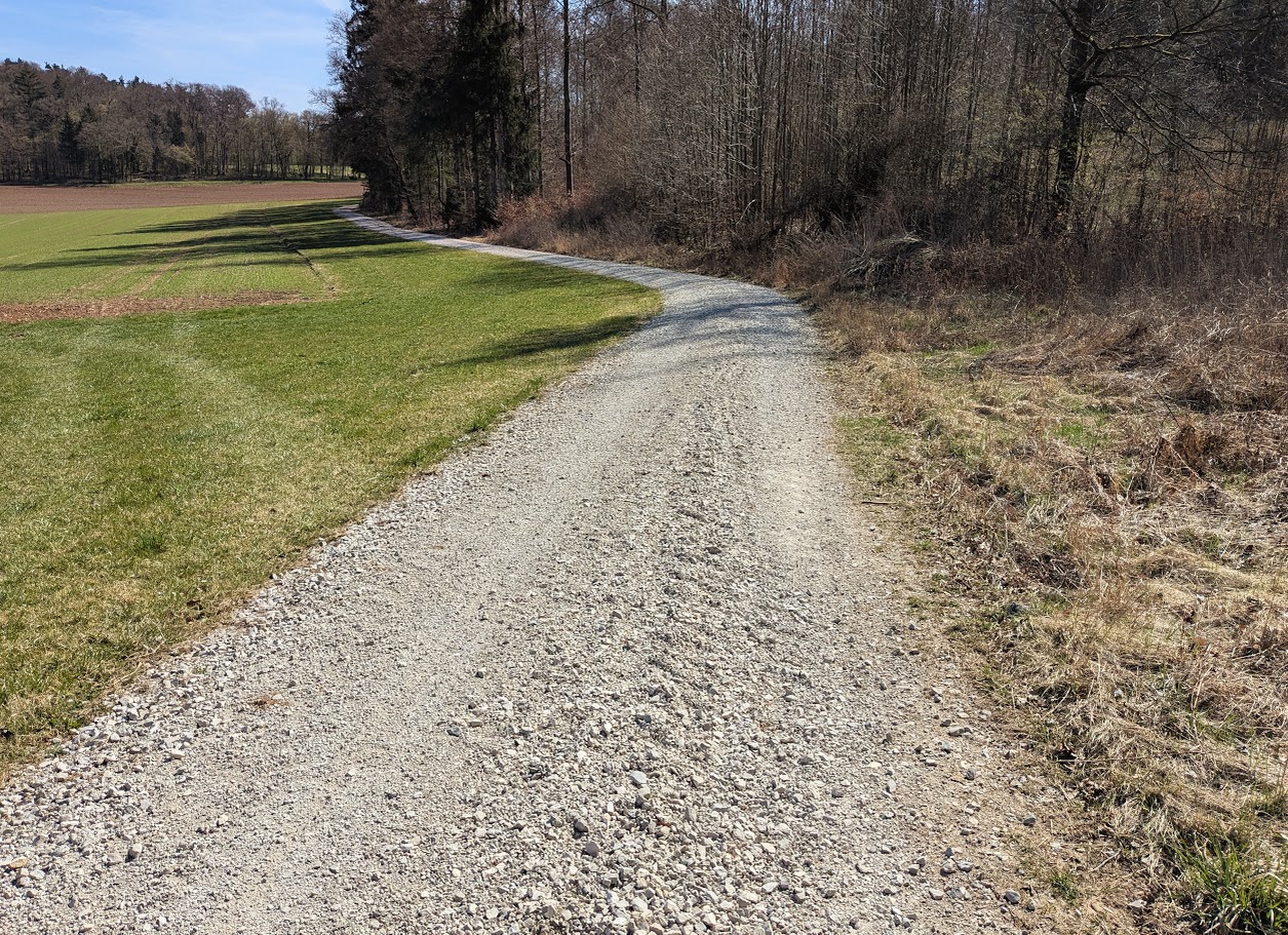 PXL_20250412_092455984.jpg