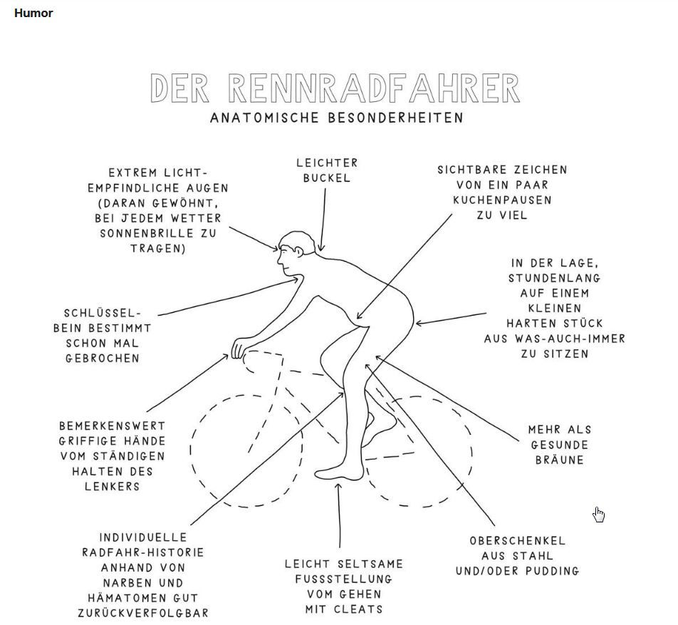 Rad_anatomische_Besonderheiten.jpg