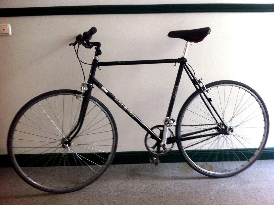 raleigh-sl-black.jpg