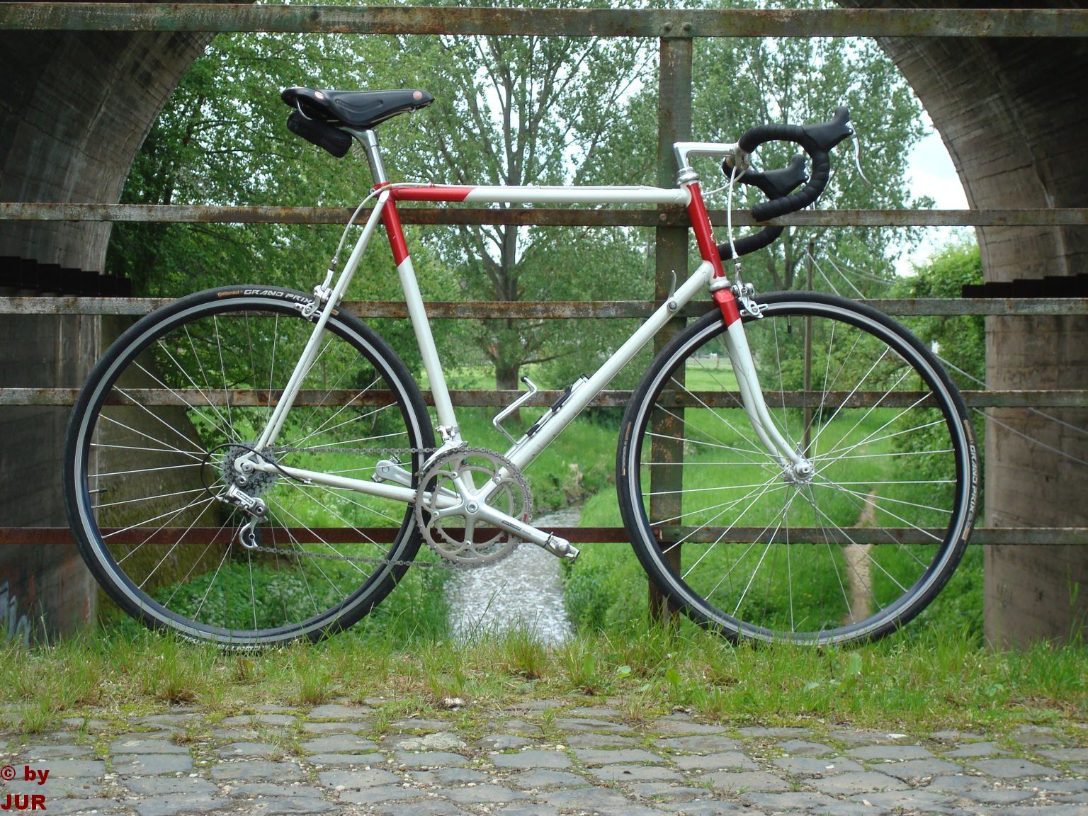 Raleigh501002.jpg