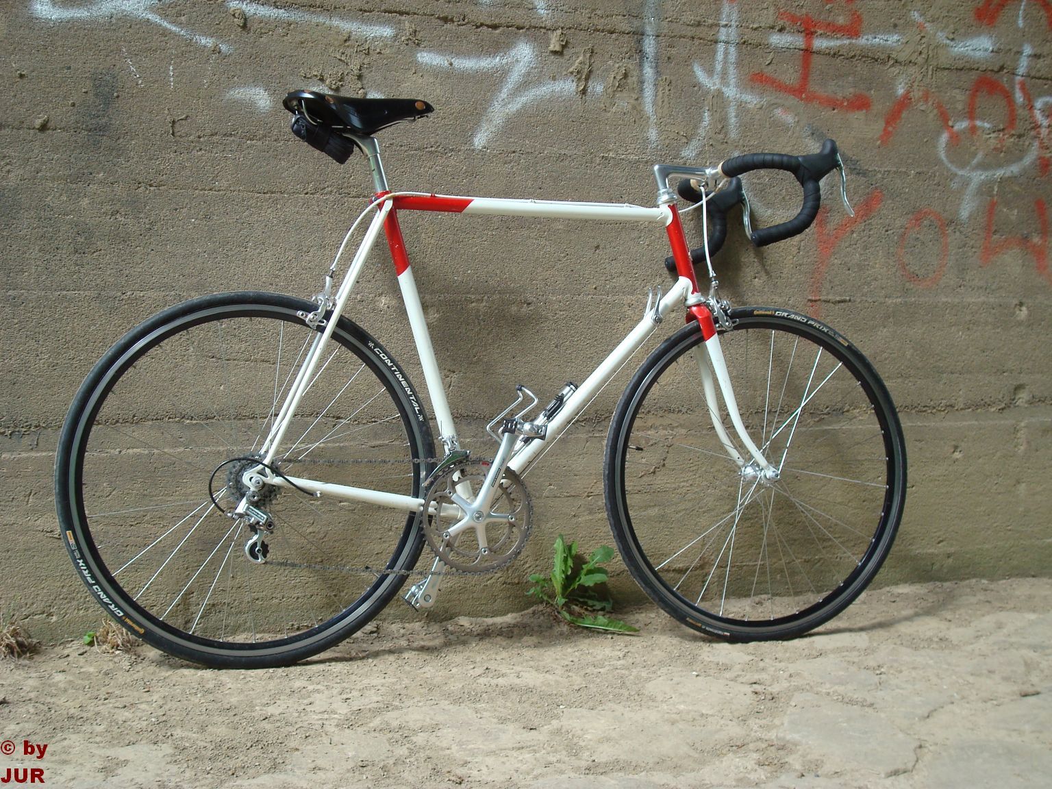 Raleigh501005.jpg