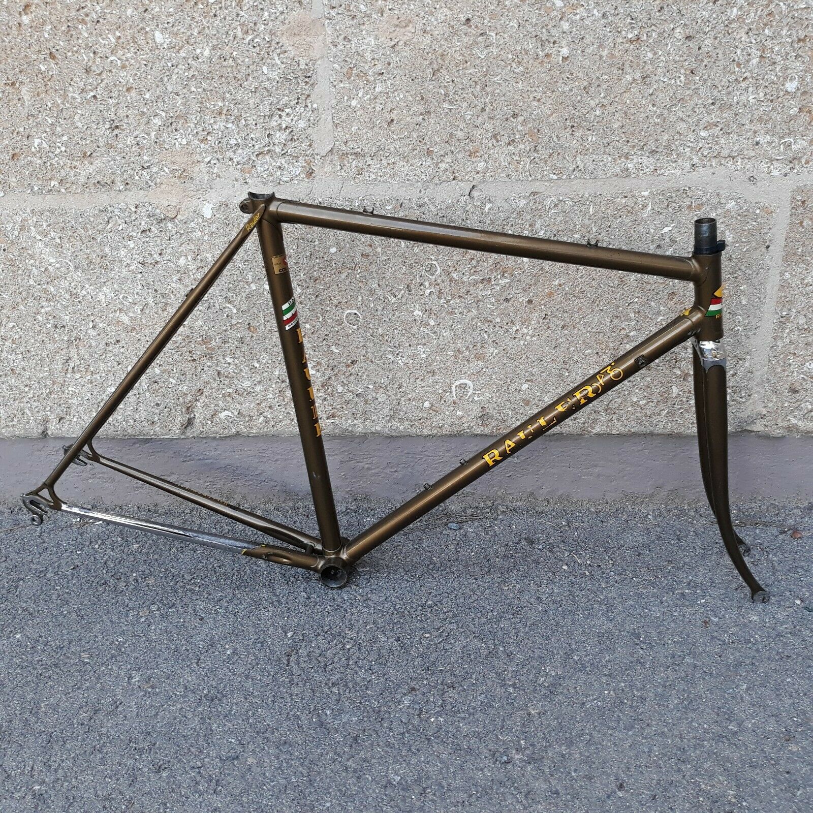 Rauler telaio Campagnolo portacaten (1).jpg