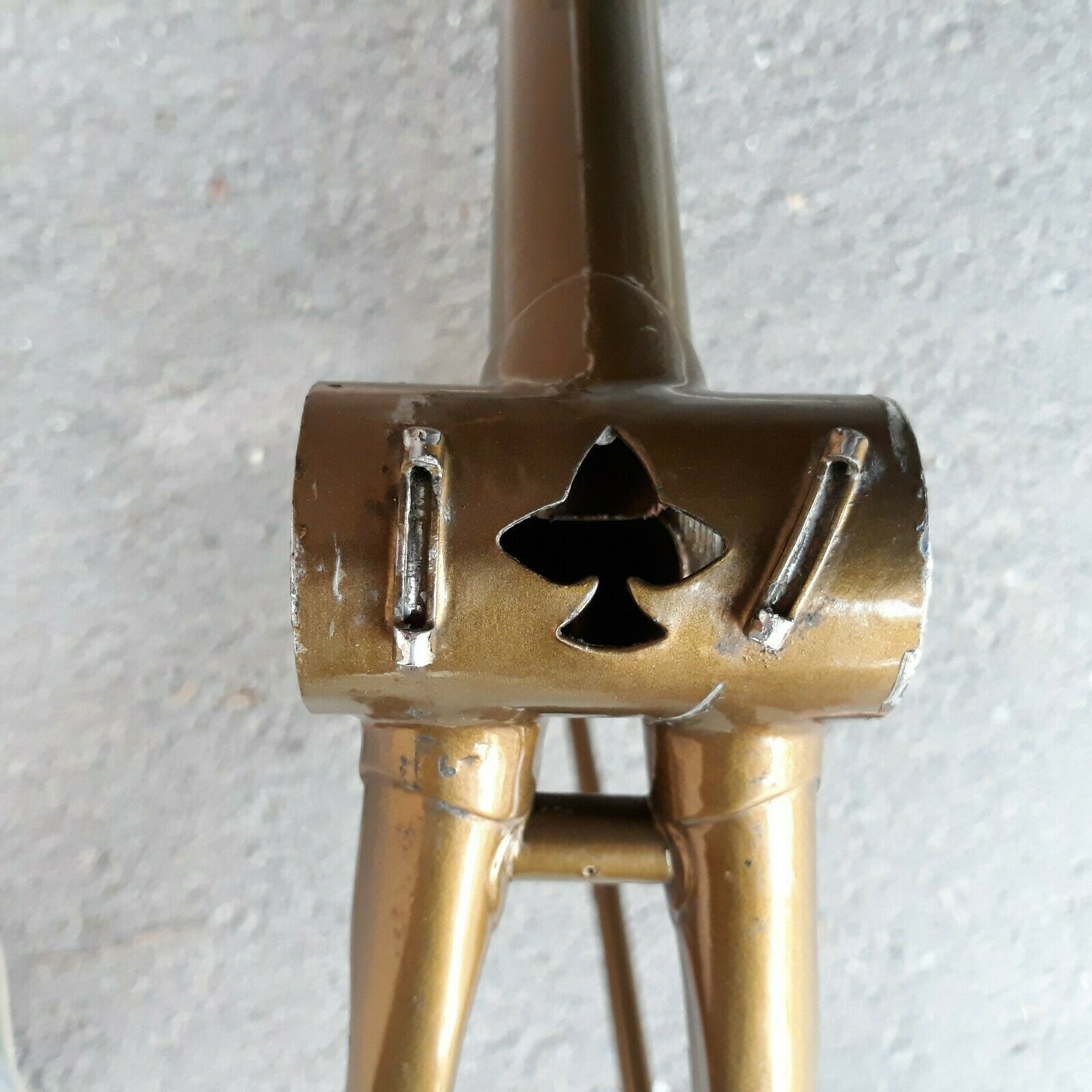 Rauler telaio Campagnolo portacaten (3).jpg