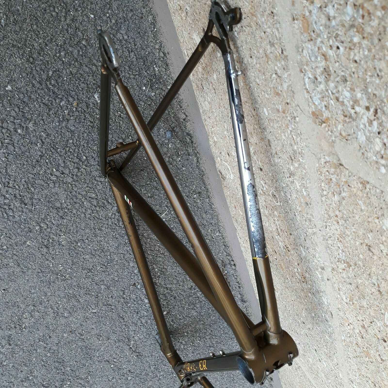 Rauler telaio Campagnolo portacaten (4).jpg