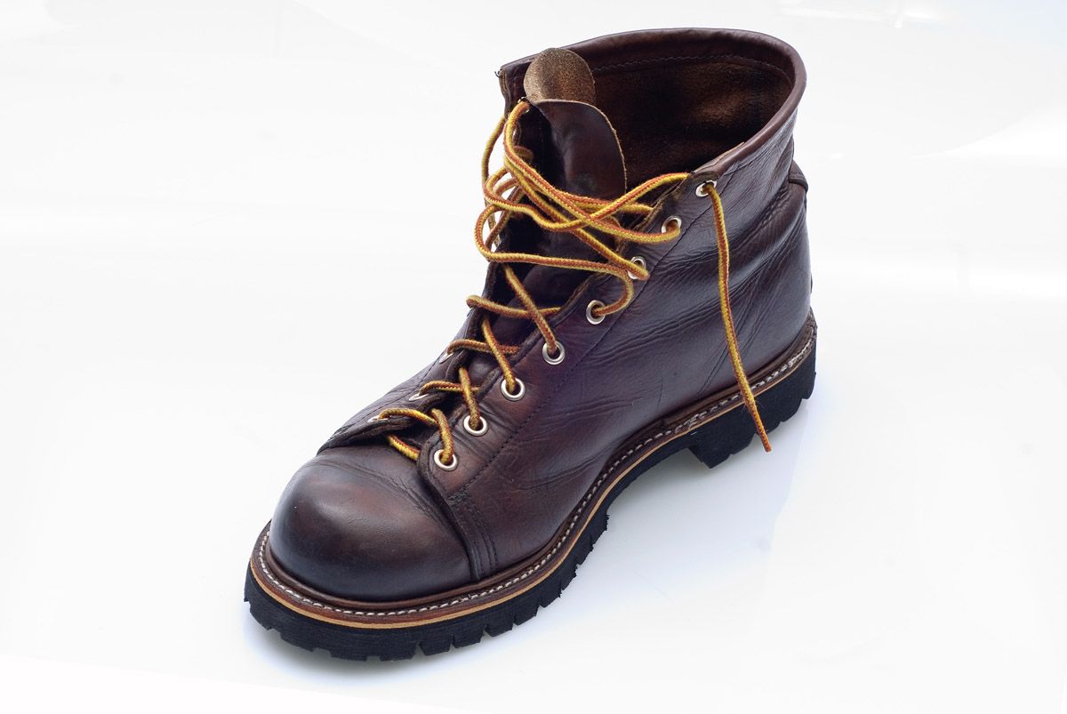 Redwing_005_m.jpg