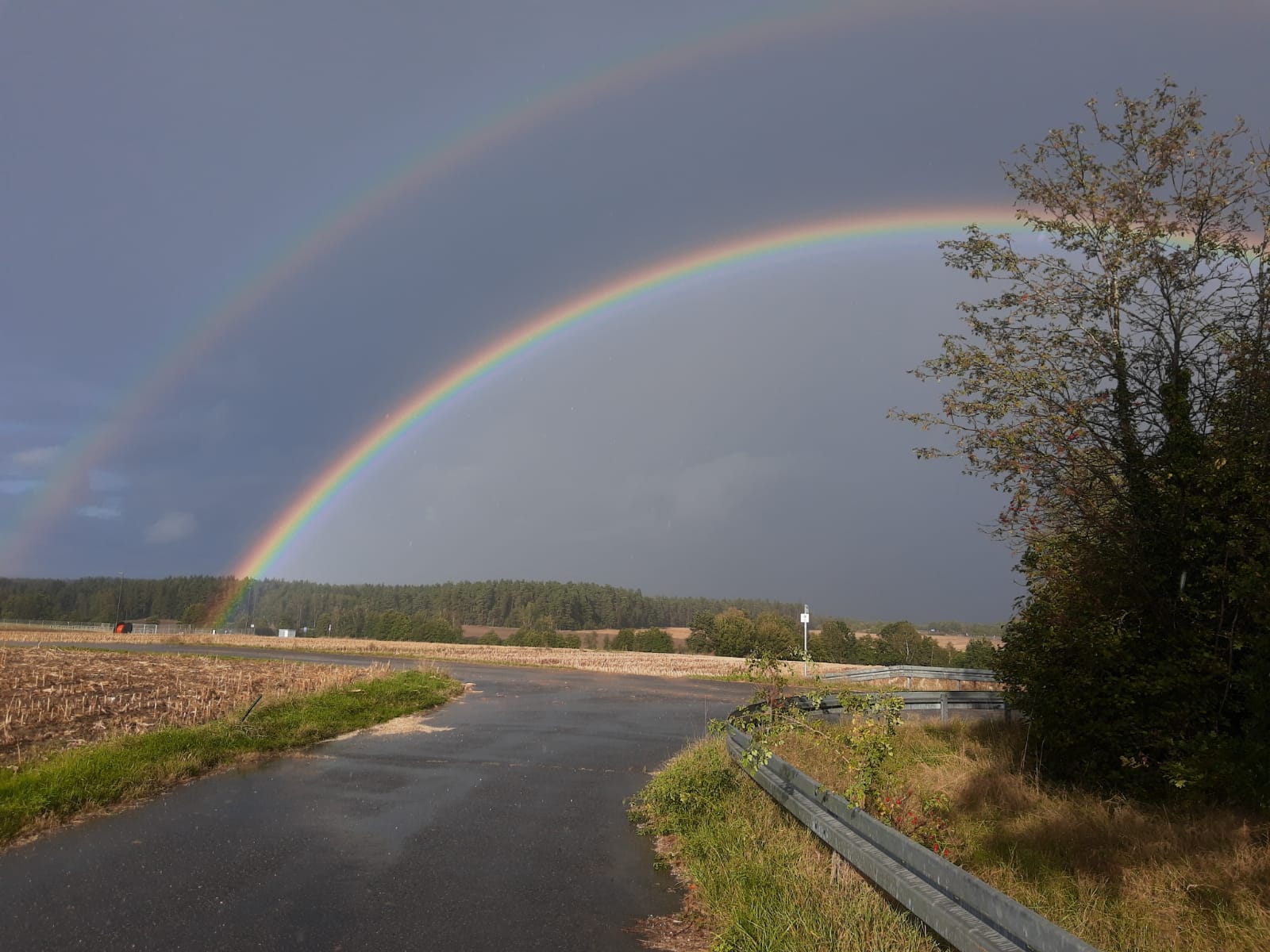 Regenbogen 24.09.24.jpg