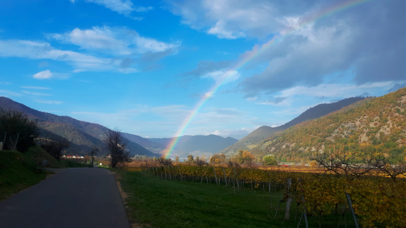 regenbogen.jpg