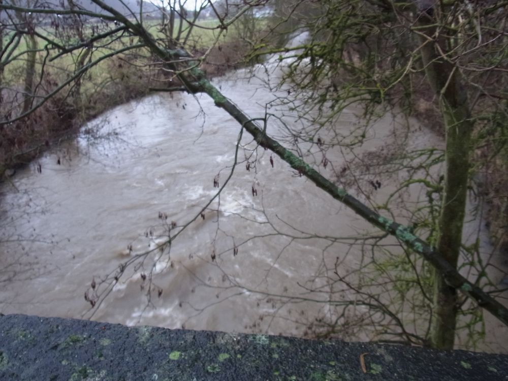 reißende Aar2 ander scholaubrücke.jpg