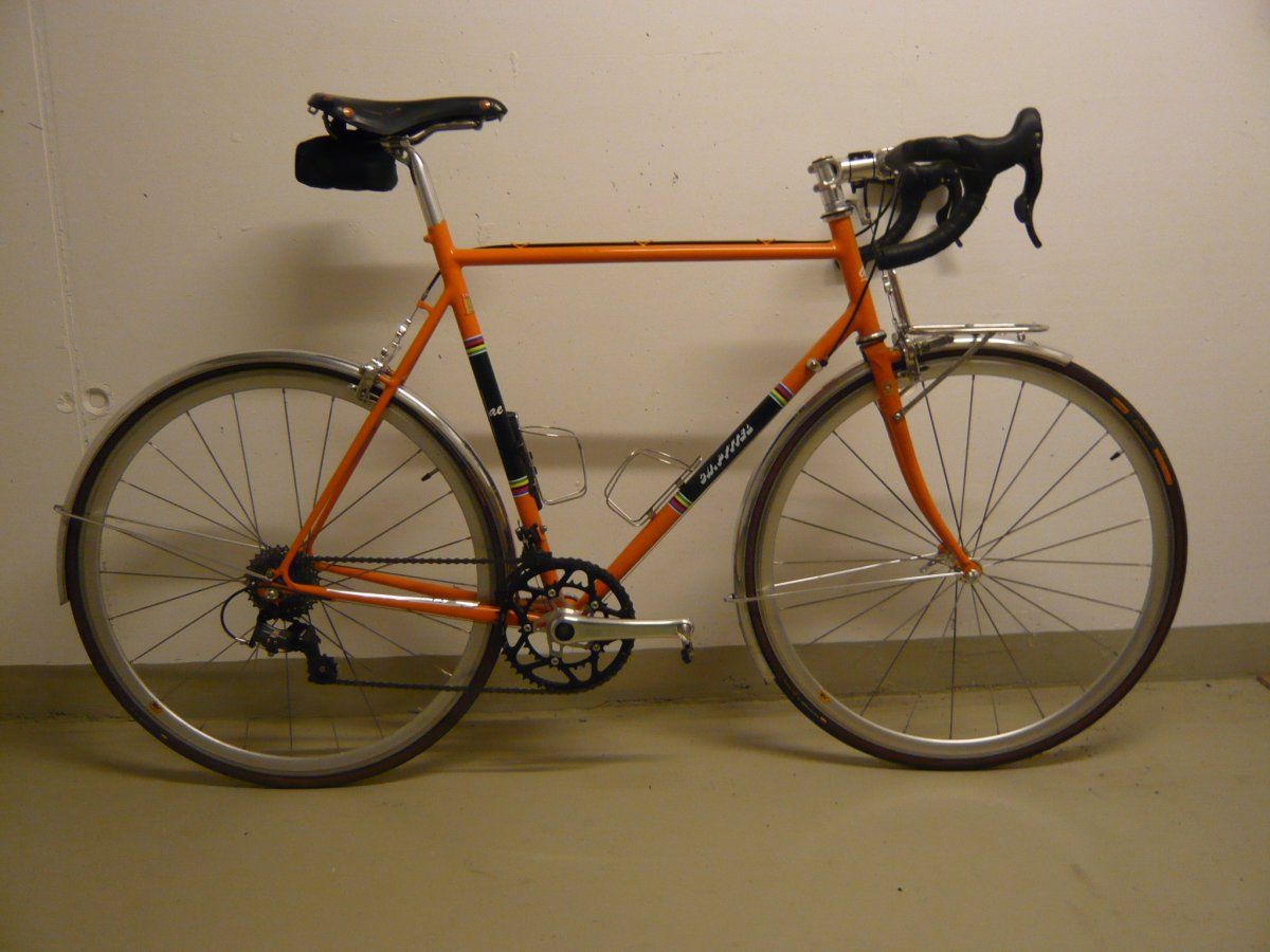 Renn-Randonneur.JPG