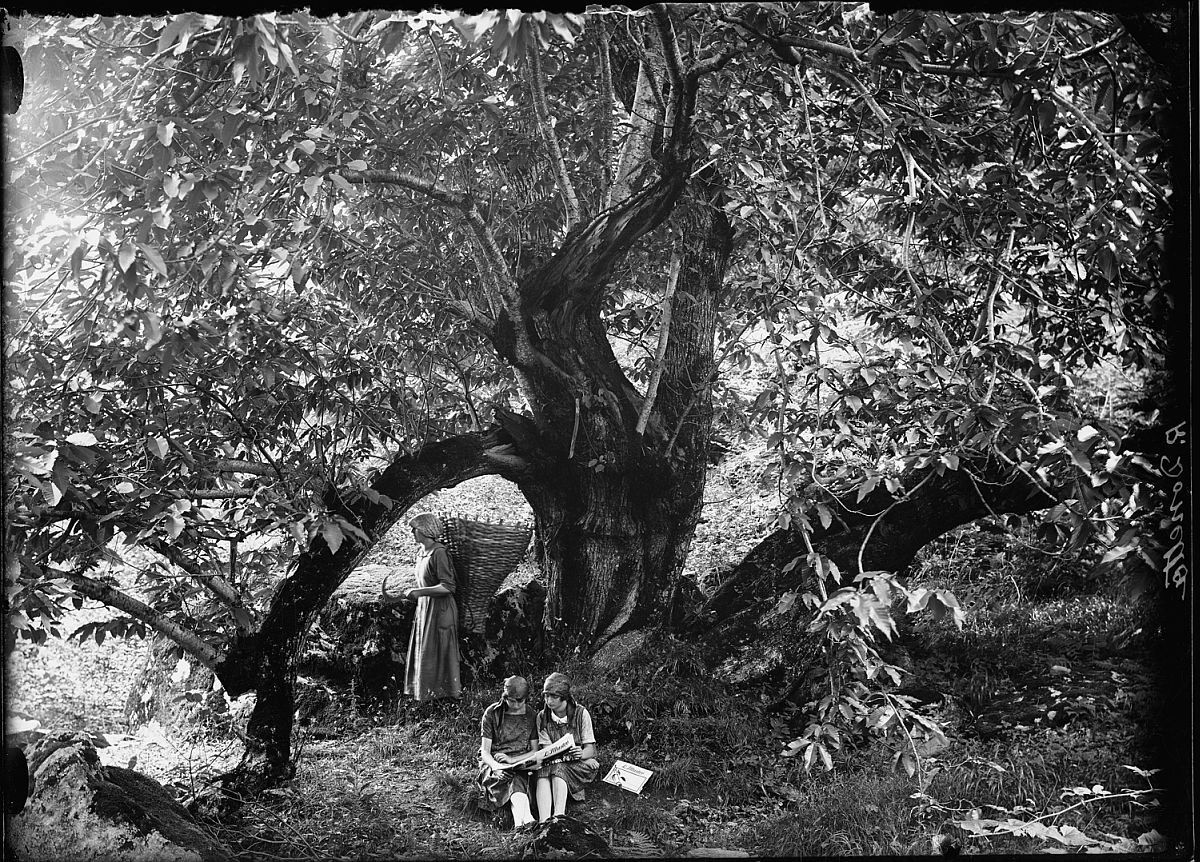 Roberto Donetta-Three girls in the break from work in the fields under a tree(1900-1932).jpg