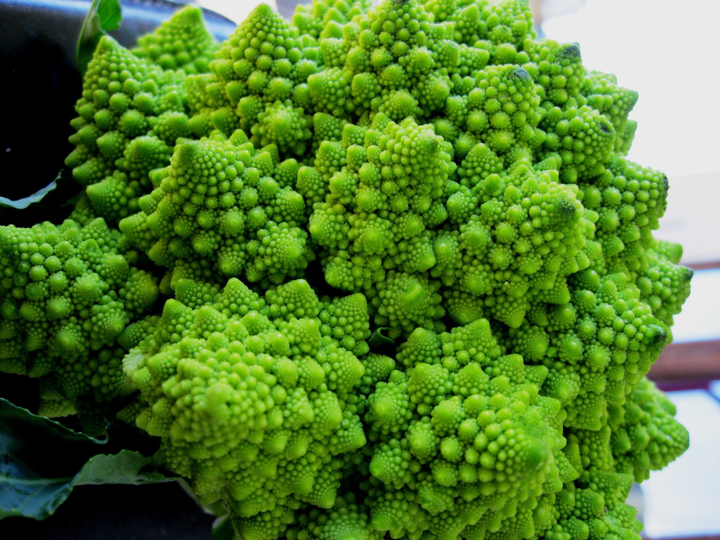 romanesco_by_krigglebink-d5loehq.jpg