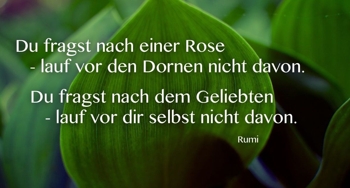 rumi liebe.jpg