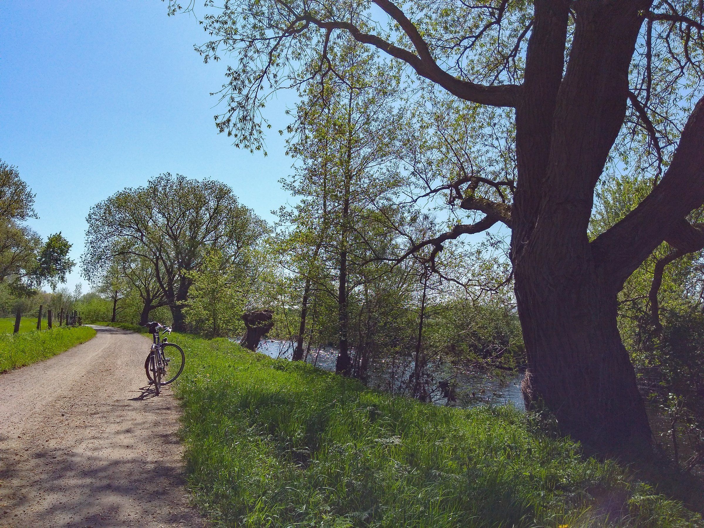 Ruuferradweg mdRvdA - Kopie.jpg