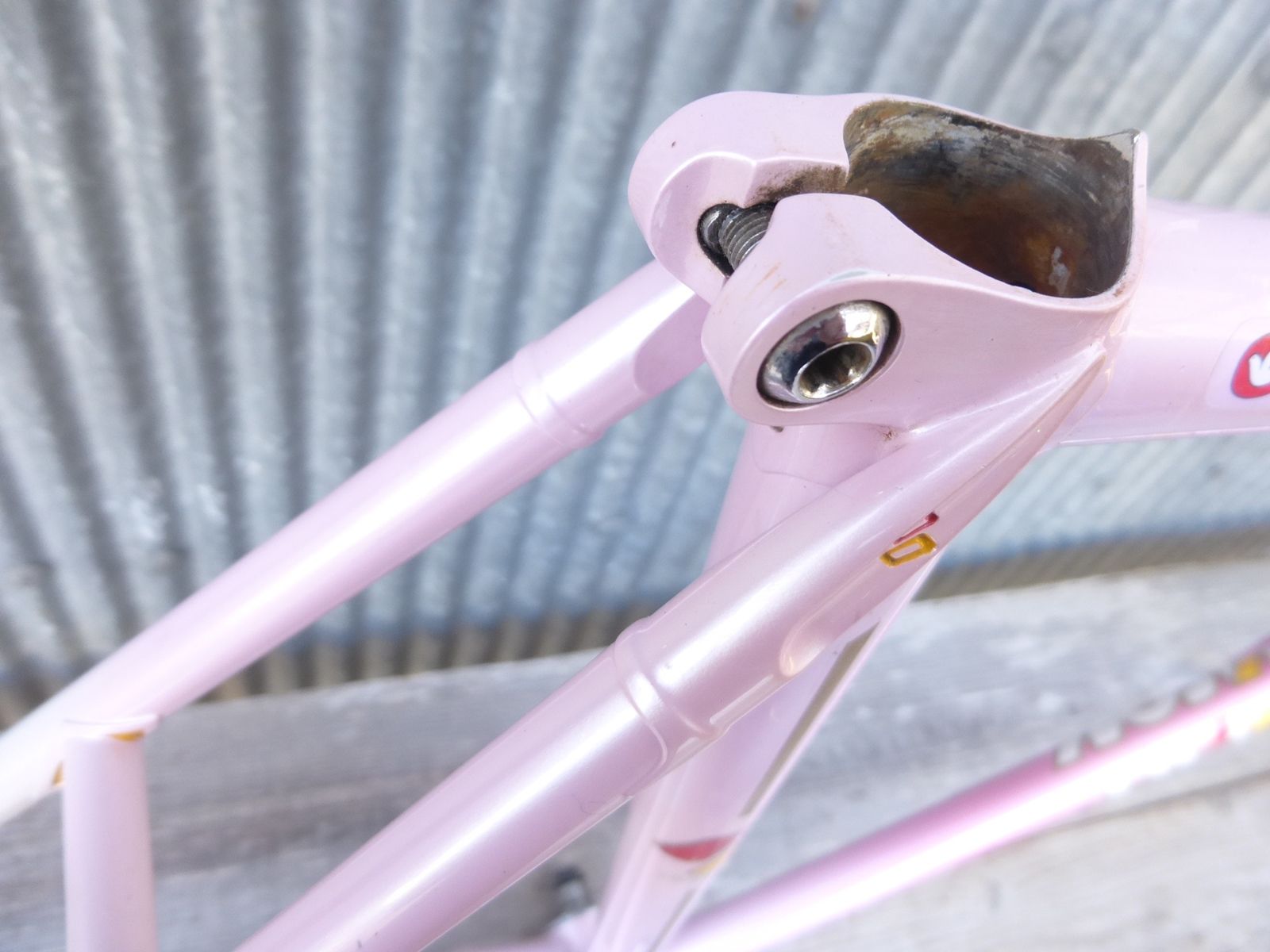 Samson illusion pista pink metallic (5).jpg