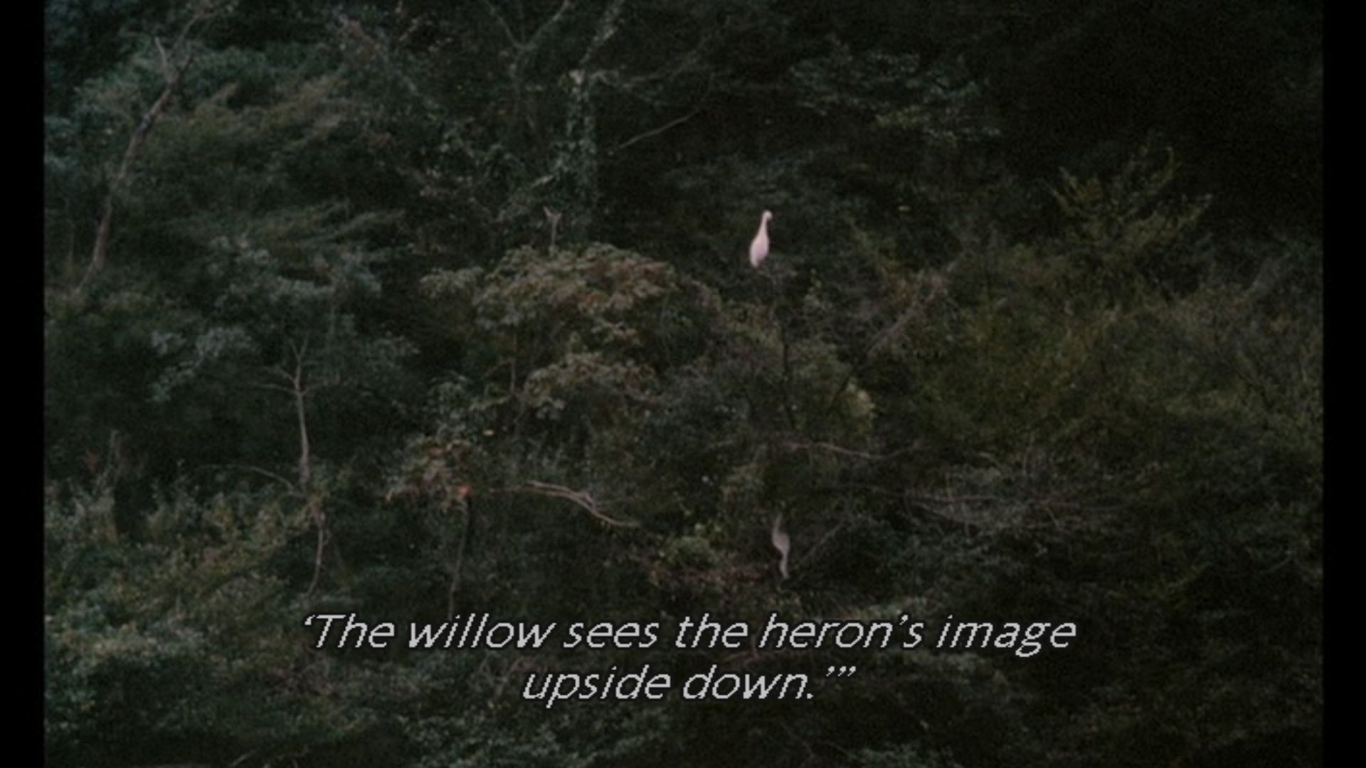 Sans Soleil (198§) - Chris Marker (1).jpg