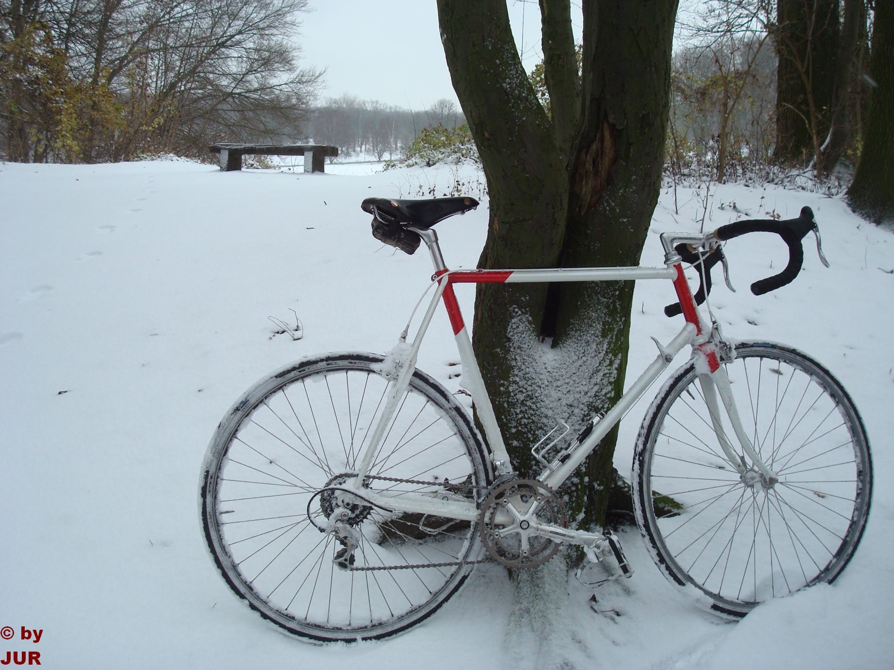 Schneespaß1.jpg