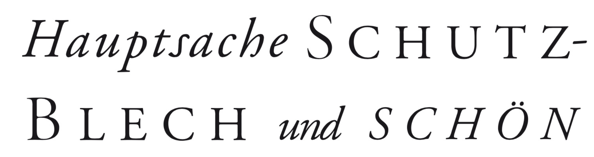 Schutzblech_digitalharry.png